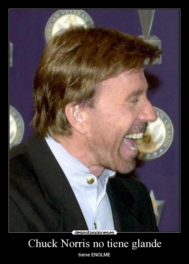 Chuck Norris no tiene glande - 