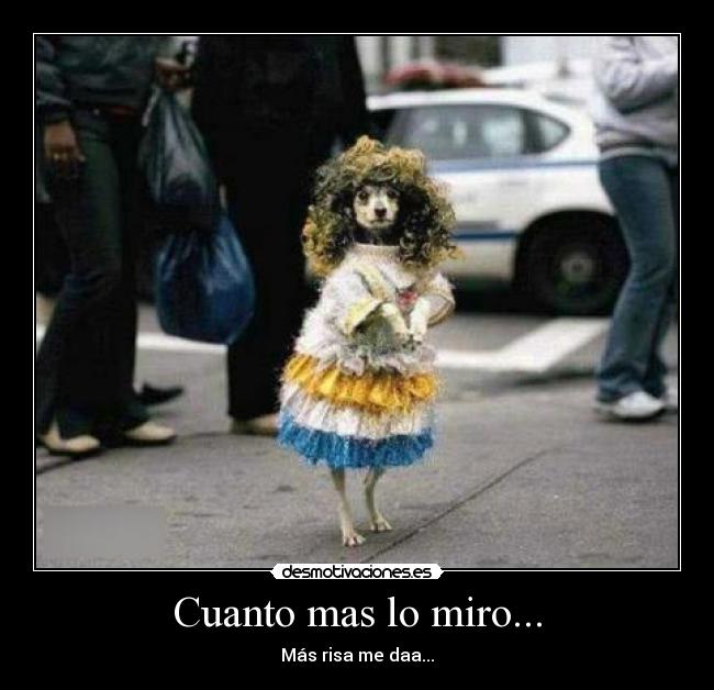 Cuanto mas lo miro... - Más risa me daa...