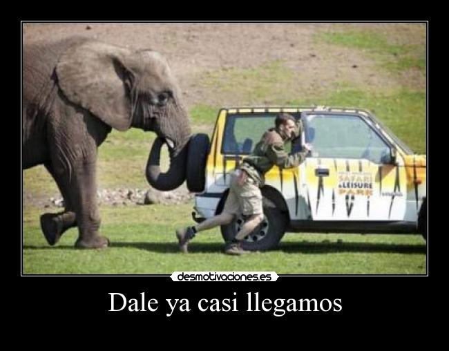 Dale ya casi llegamos -
