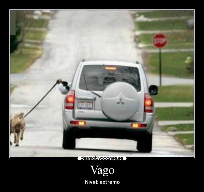 Vago - 