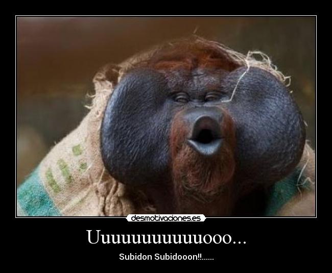 Uuuuuuuuuuuooo... - Subidon Subidooon!!......