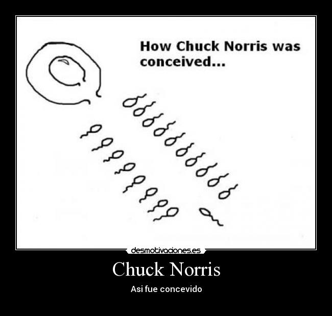 Chuck Norris - Asi fue concevido