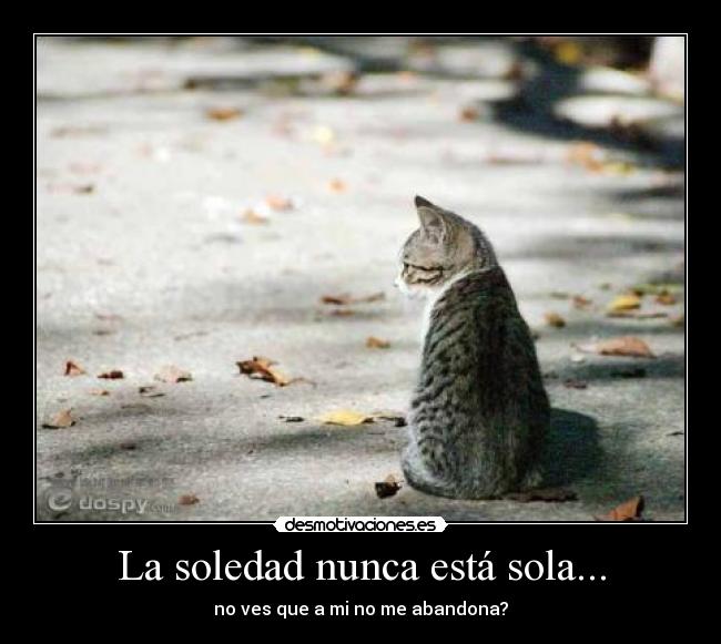 La soledad nunca está sola... -