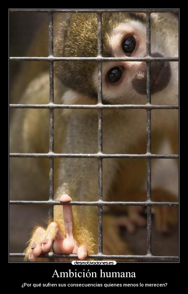 Ambición humana - ¿Por qué sufren sus consecuencias quienes menos lo merecen?