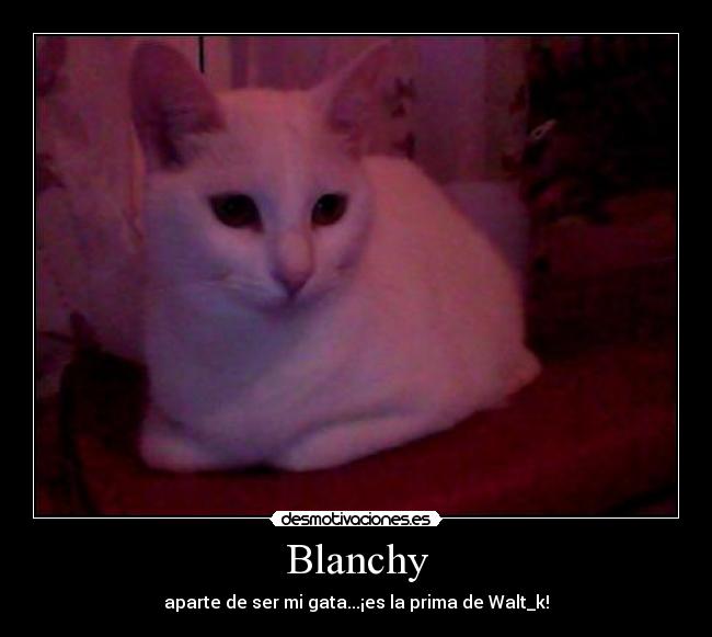 Blanchy - 