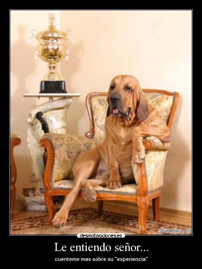 Le entiendo señor... - 