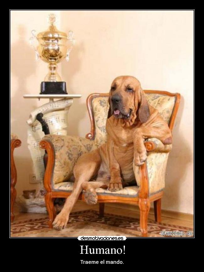 Humano! - 