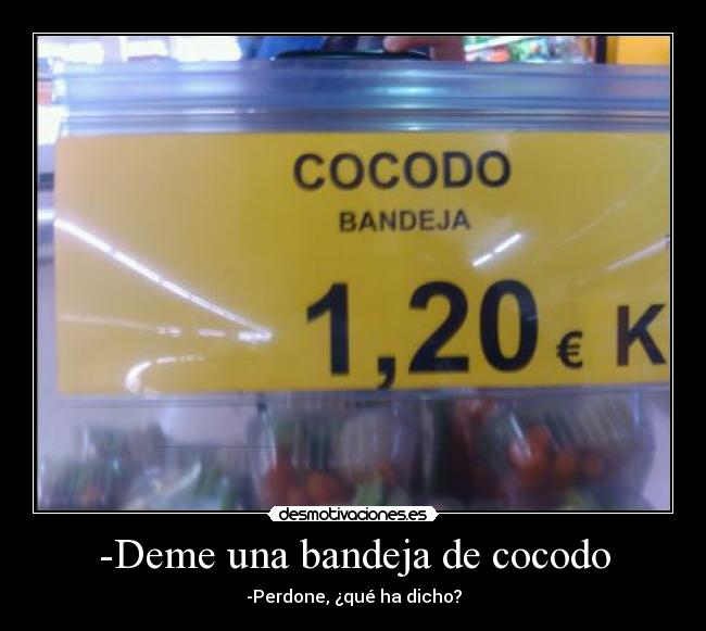 -Deme una bandeja de cocodo - -Perdone, ¿qué ha dicho?