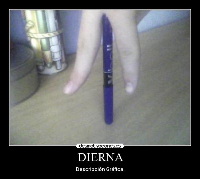 DIERNA - Descripción Gráfica.