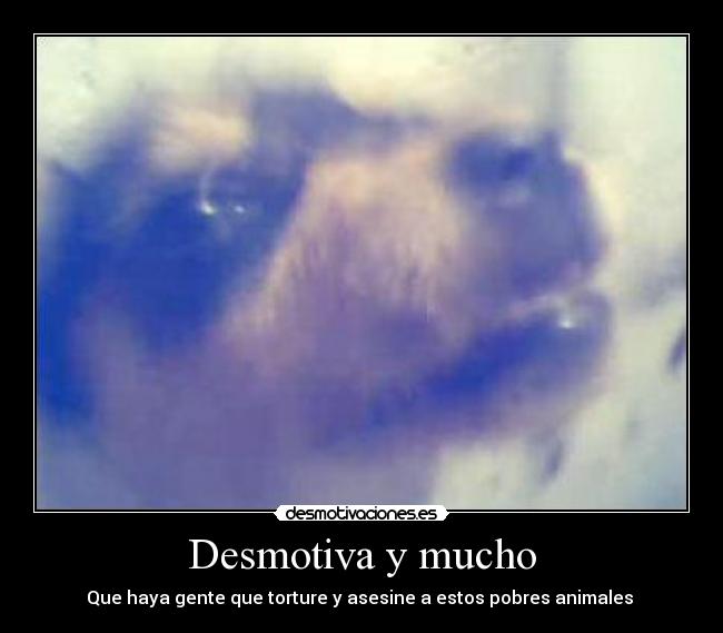 Desmotiva y mucho -