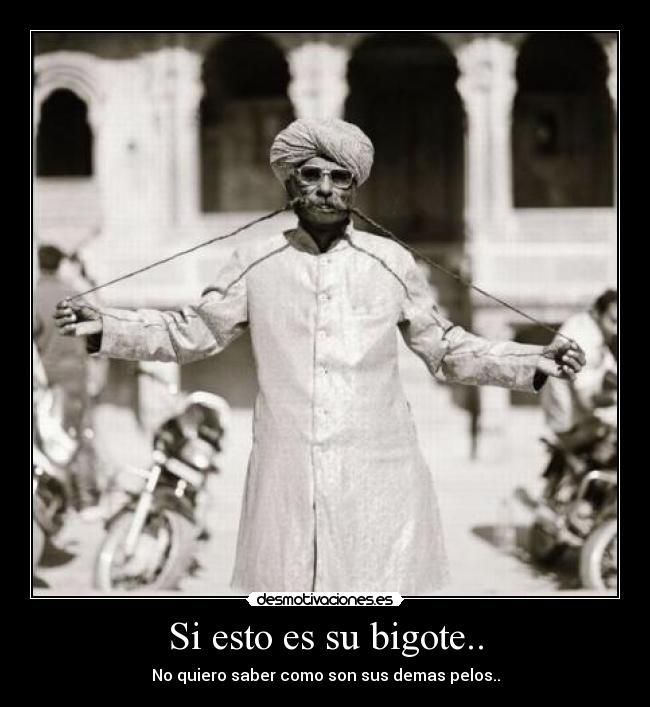 Si esto es su bigote.. - No quiero saber como son sus demas pelos..