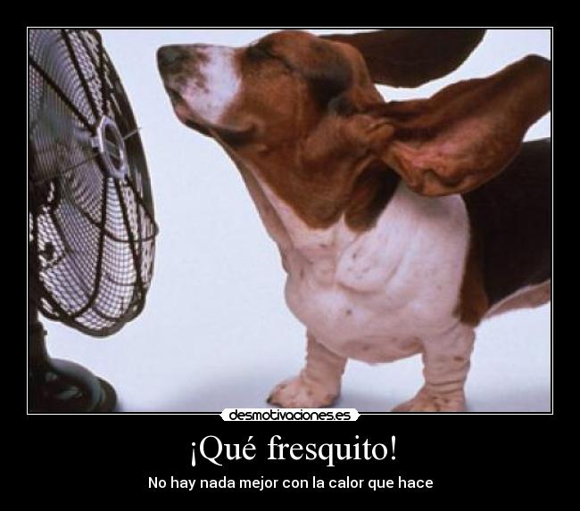 carteles perro ventilador calor desmotivaciones