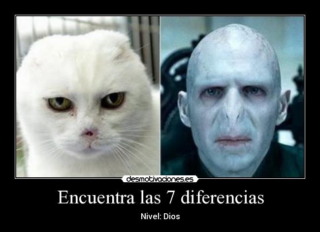 Encuentra las 7 diferencias - Nivel: Dios