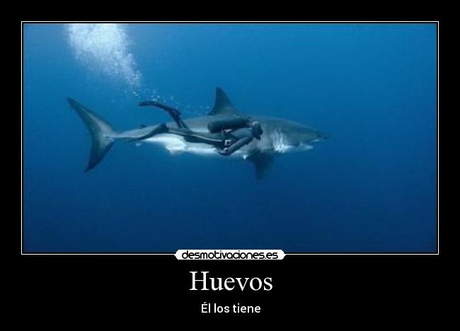 Huevos - Él los tiene