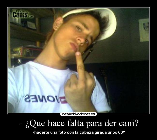 - ¿Que hace falta para der cani? -