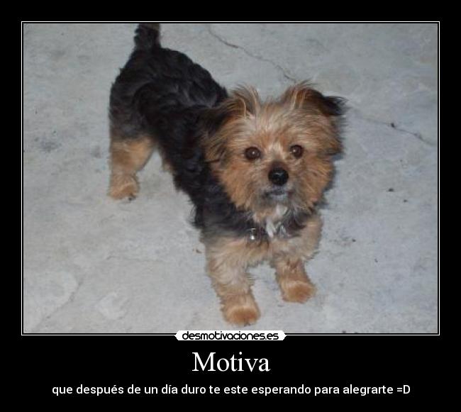 Motiva - que después de un día duro te este esperando para alegrarte =D