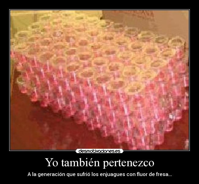 Yo también pertenezco -