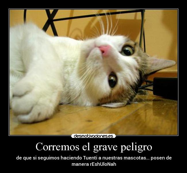 Corremos el grave peligro -