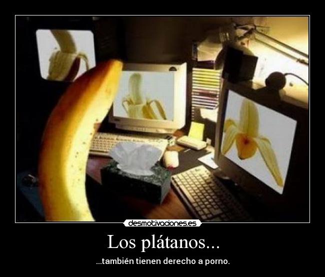 Los plátanos... - ...también tienen derecho a porno.
