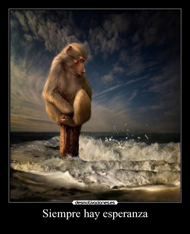 Siempre hay esperanza - 