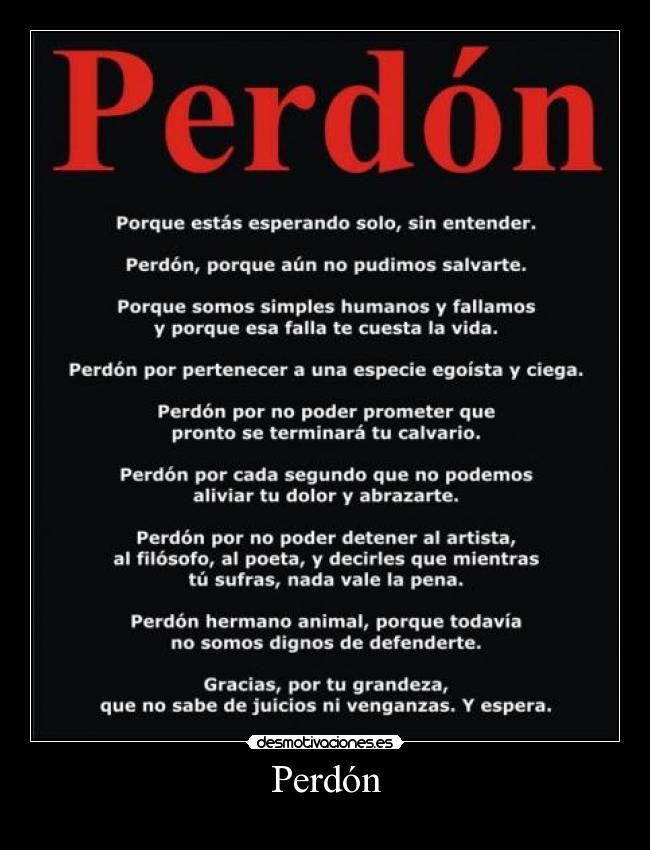 Perdón - 