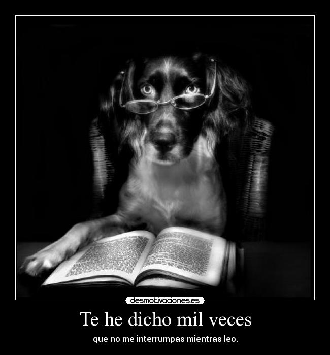 Te he dicho mil veces - que no me interrumpas mientras leo.