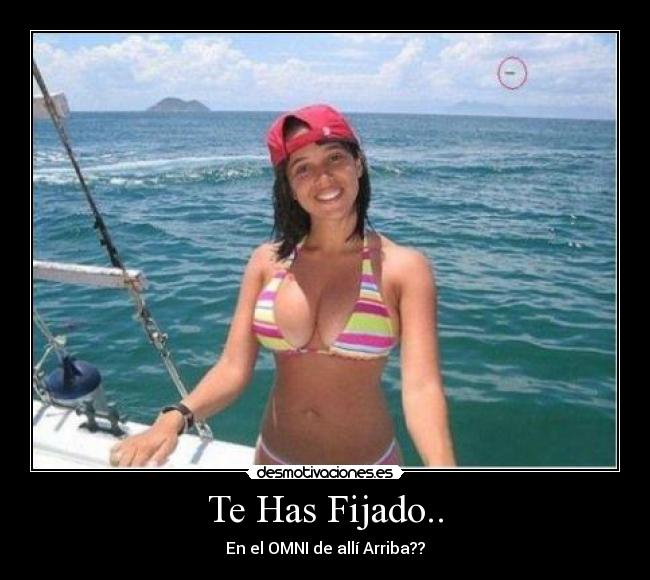 Te Has Fijado.. - En el OMNI de allí Arriba??