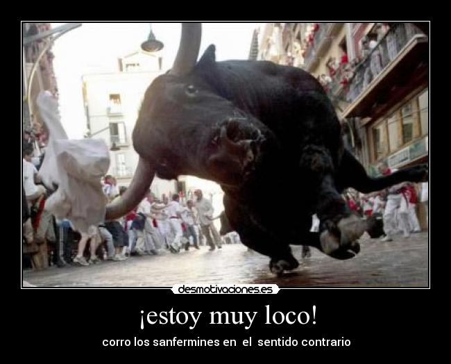 ¡estoy muy loco! -