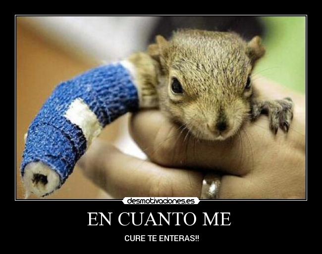 EN CUANTO ME  - CURE TE ENTERAS!!