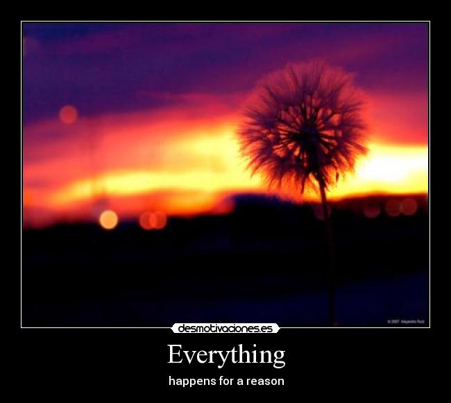 Everything - happens for a reason