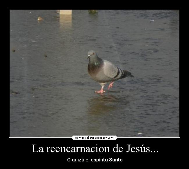 La reencarnacion de Jesús... -