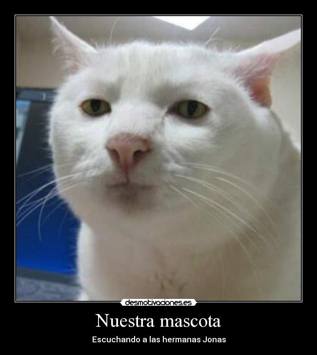 Nuestra mascota - Escuchando a las hermanas Jonas