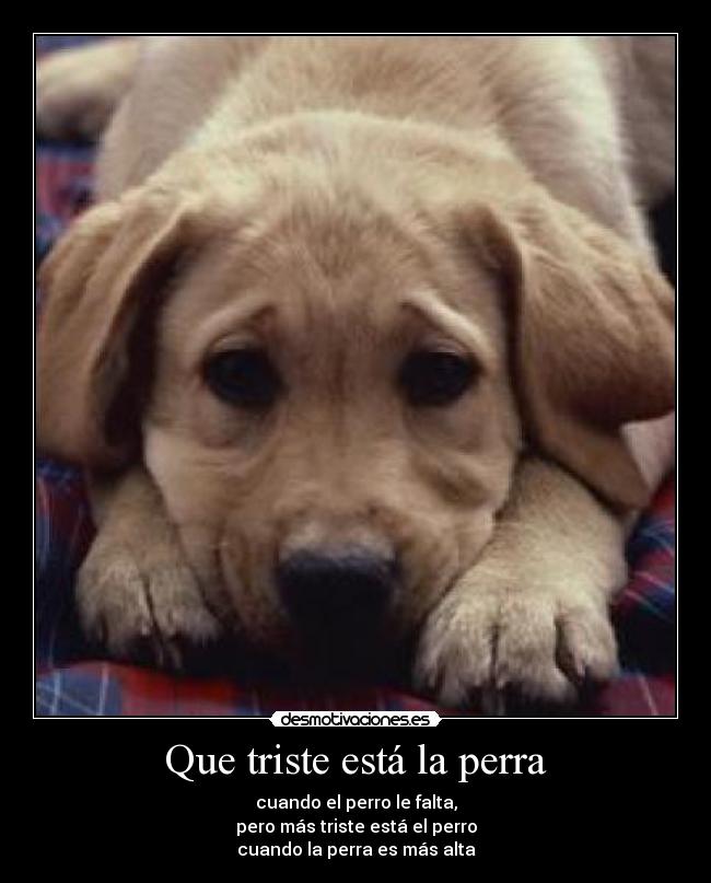 carteles claau gil desmotivaciones