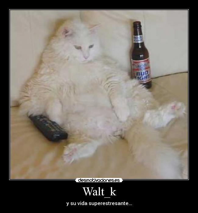 Walt_k - y su vida superestresante...