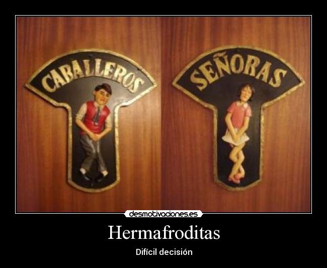Hermafroditas - Difícil decisión