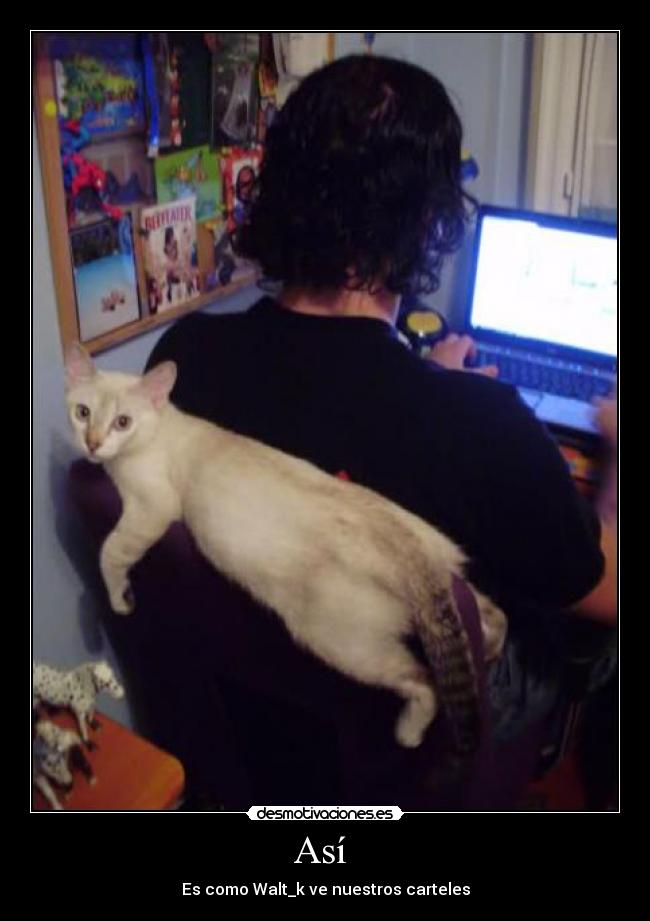 Así - Es como Walt_k ve nuestros carteles