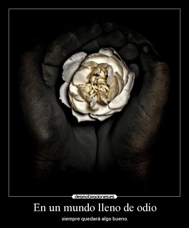 En un mundo lleno de odio - siempre quedará algo bueno.