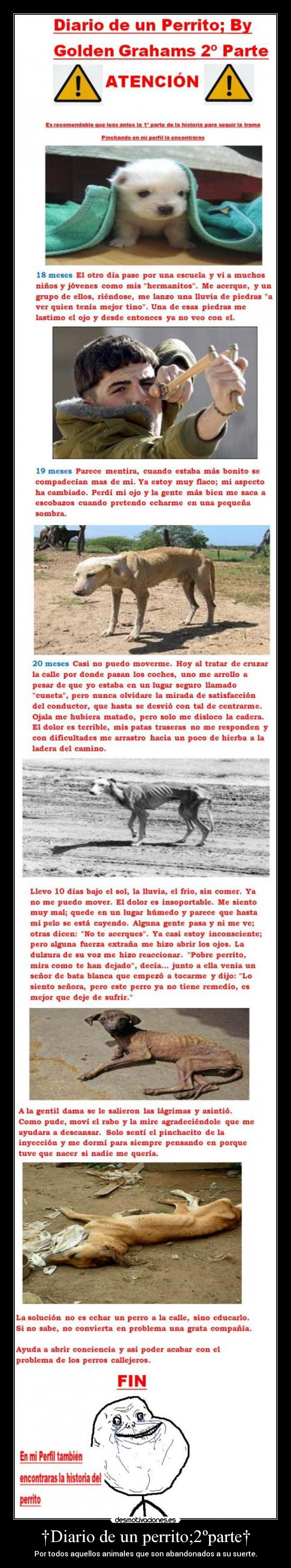 †Diario de un perrito;2ºparte† -