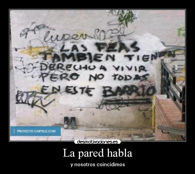 La pared habla - 