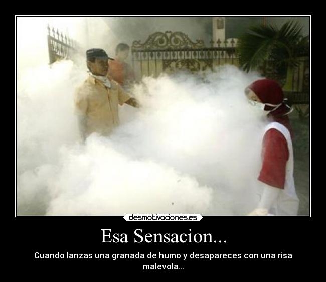 Esa Sensacion... - Cuando lanzas una granada de humo y desapareces con una risa malevola...