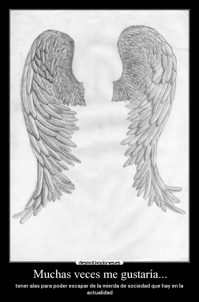 Muchas veces me gustaría... - tener alas para poder escapar de la mierda de sociedad que hay en la actualidad