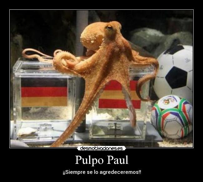 carteles pulpopaulespanaalemanyamundialfutbol desmotivaciones