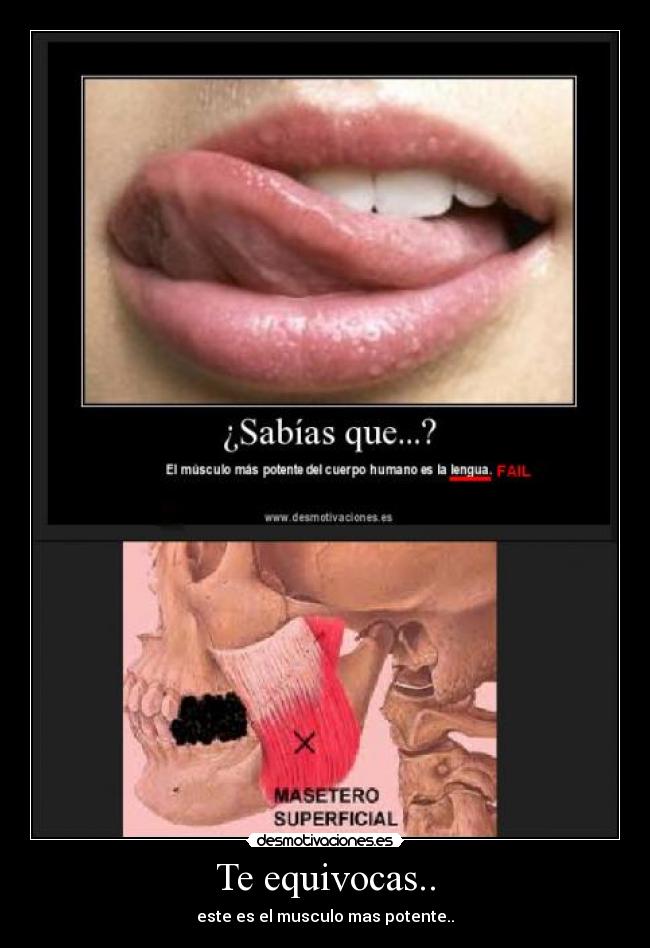 carteles equivocas desmotivaciones