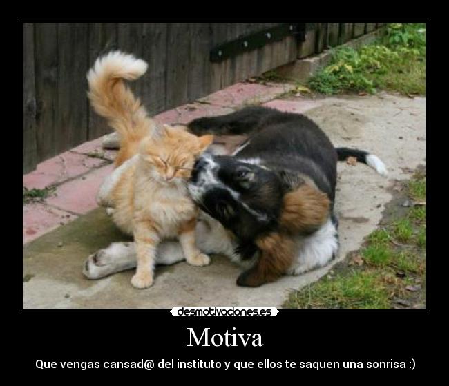 Motiva - 