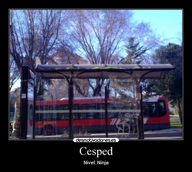 Cesped - 