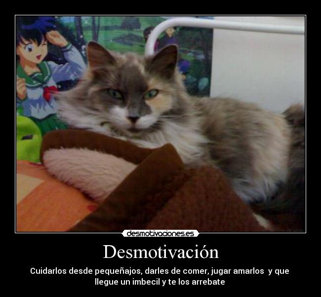 Desmotivación - 