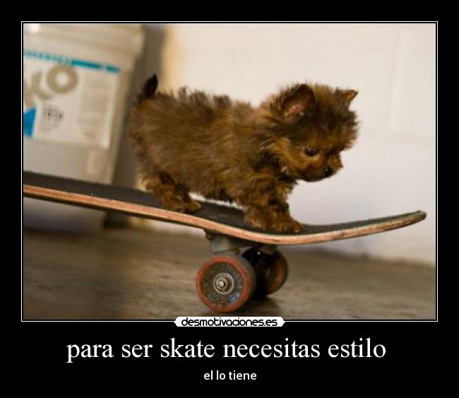para ser skate necesitas estilo  - 