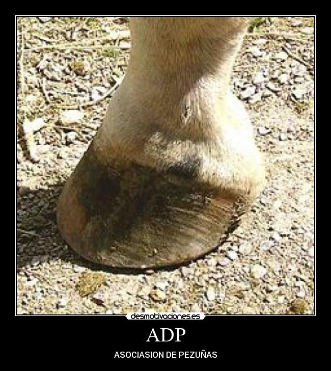 ADP - 