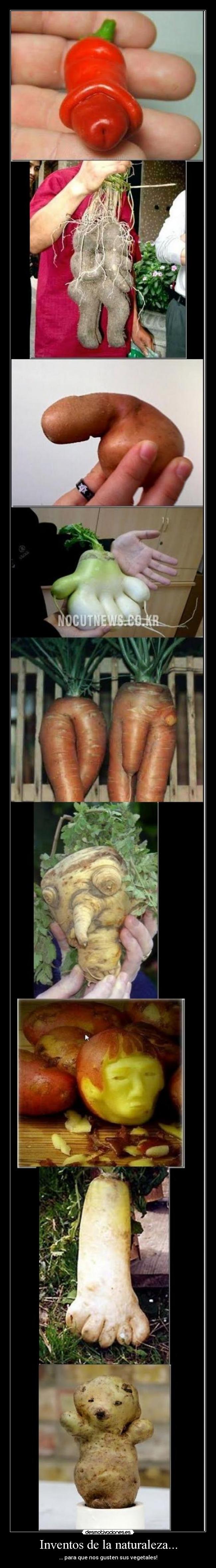 Inventos de la naturaleza... - 