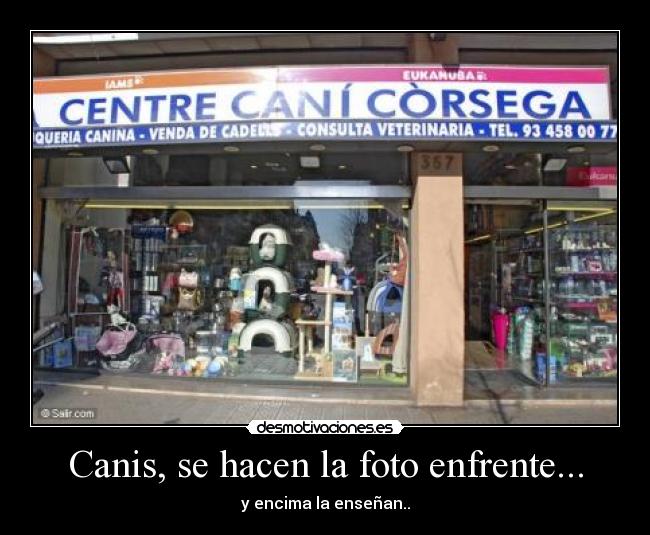 Canis, se hacen la foto enfrente... - 